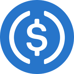 USDC stablecoin icon